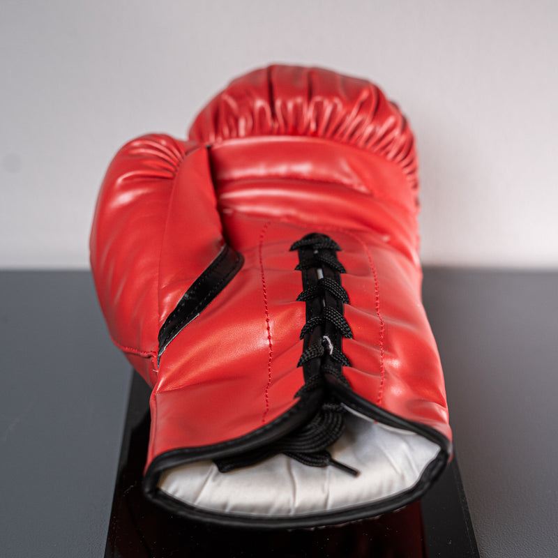 Shannon Briggs Signed Glove