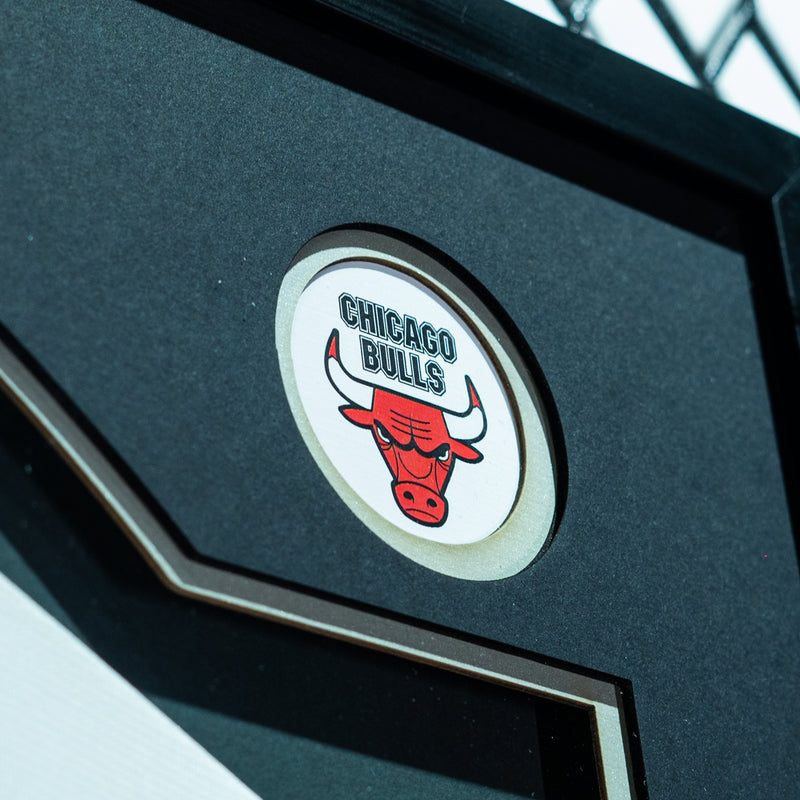 DeMar DeRozan Signed Chicago Bulls Jersey